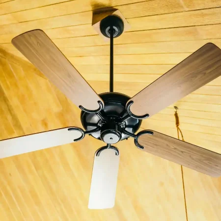 ceiling fans